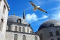 Ayasofia mosque Royalty Free Stock Photo