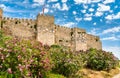 Ayasuluk Castle in Selcuk, Turkey