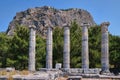 Ionic columns of the Temple of Athena Polias in the Ancient City of Priene