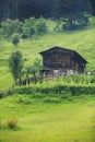 Ayder Plateau Royalty Free Stock Photo