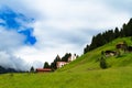 Ayder Plateau Royalty Free Stock Photo