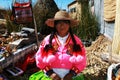 Aymara girl Royalty Free Stock Photo