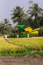 Portrait of pick thresher, in rice field, Ayodhya, Karnataka, India