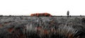 Ayres Rock Uluru Panorama Royalty Free Stock Photo