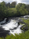 Aysgarth Falls - Wensleydale - Yorkshire Dales Royalty Free Stock Photo