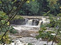 Aysgarth Falls - Yorkshire Dales Royalty Free Stock Photo