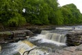 Aysgarth Lower Falls in Wensleydale, Yorkshire Dales Royalty Free Stock Photo