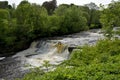 Aysgarth Middle Falls in Wensleydale, Yorkshire Dales Royalty Free Stock Photo