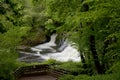 Aysgarth Middle Falls in Wensleydale, Yorkshire Dales Royalty Free Stock Photo