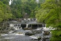 Aysgarth Upper Falls in Wensleydale, Yorkshire Dales Royalty Free Stock Photo