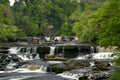 Aysgarth Upper Falls in Wensleydale, Yorkshire Dales Royalty Free Stock Photo