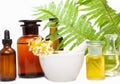 Ayurveda Alternative Medicine Spa Wellness Herbal Health Royalty Free Stock Photo