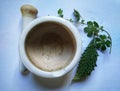 Ayurveda background. Alternative health care fresh herbal plant and herbal pill in Erlenmeyer flask with mortar and pestle.