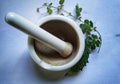 Ayurveda background. Alternative health care fresh herbal plant and herbal pill in Erlenmeyer flask with mortar and pestle.