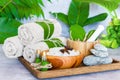Ayurveda background. Spa and health care concept Royalty Free Stock Photo