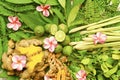 Ayurveda Indian medicine, herbal massage