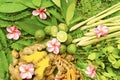 Ayurveda Indian medicine, herbal massage bags 2018