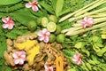 Ayurveda Indian medicine, herbal massage