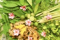 Ayurveda Indian medicine, herbal massage