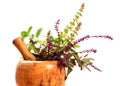 Ayurveda plants Royalty Free Stock Photo