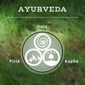 Ayurveda vector illustration. Ayurvedic body types.