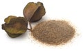 Ayurvedic arjun fruit with ground powder Royalty Free Stock Photo