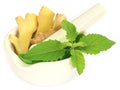 Ayurvedic combination of holy basil and ginger Royalty Free Stock Photo