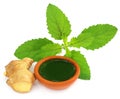 Ayurvedic combination of holy basil and ginger Royalty Free Stock Photo