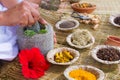 Ayurvedic Doctor Royalty Free Stock Photo