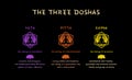 Ayurvedic Dosha Types Infographic poster