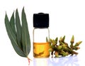 Ayurvedic eucalyptus oil