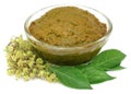 Ayurvedic henna leaves Royalty Free Stock Photo