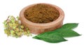 Ayurvedic henna leaves and flower Royalty Free Stock Photo