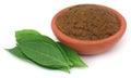 Ayurvedic henna leaves with paste Royalty Free Stock Photo