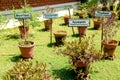 Ayurvedic herb garden