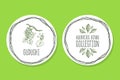 Ayurvedic Herb - Product Label with Guduchi Royalty Free Stock Photo