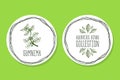 Ayurvedic Herb - Product Label with Gymnema sylvestre Royalty Free Stock Photo