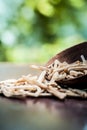 Ayurvedic herb Satavari with its powder on wooden surface. Royalty Free Stock Photo