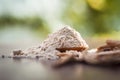 Ayurvedic herb Satavari with its powder on wooden surface.