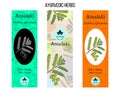 Ayurvedic herbs banners, Indian gooseberry, amla