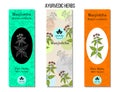 Ayurvedic herbs banners. Manjistha Rubia cordifolia , or Indian madder, medicinal plant