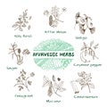 Ayurvedic herbs collection