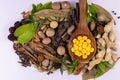 Ayurvedic medicine concept. Top view of herbal drugs in wooden spoon, scattered spices and green leaves on white background