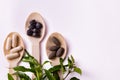 Ayurvedic pills in three wooden spoons with green leaves of ocimum sanctum on white background and copy space Royalty Free Stock Photo