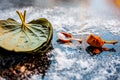 Ayurvedic remedy for sour throat consisting of betel leaves, turmeric, and salt on a black wooden surface. Royalty Free Stock Photo