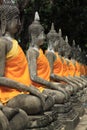 Ayuthaya buddha image Royalty Free Stock Photo