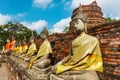 Ayuthaya, Thailand - 13 February 2014: Rows of buddha statue Wat Yai Chaimongkhon,