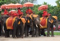 AYUTHAYA THAILAND-SEPTEMBER 6 : elephant mahout relaxing on elep