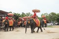 AYUTHAYA THAILAND-SEPTEMBER 6 : elephant for tourist riding read