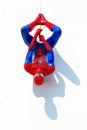 Ayuttaya, Thailand - December 30, 2014 : Spider-Man model upside Royalty Free Stock Photo